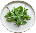 Tulsi (Holy Basil)