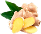 Ginger