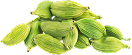 Cardamom